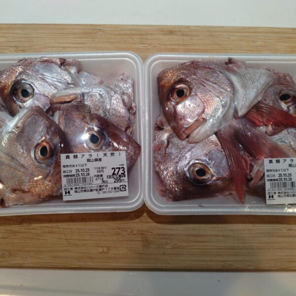 マダイのあら煮