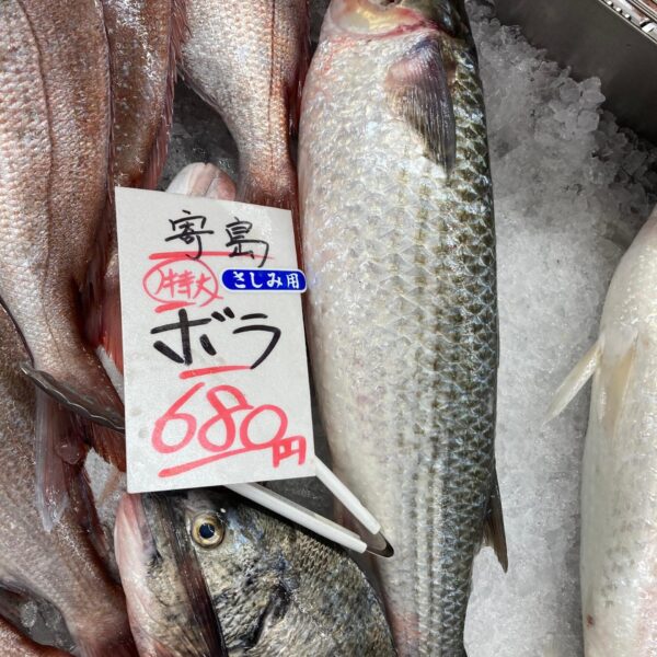 刺身と炙り