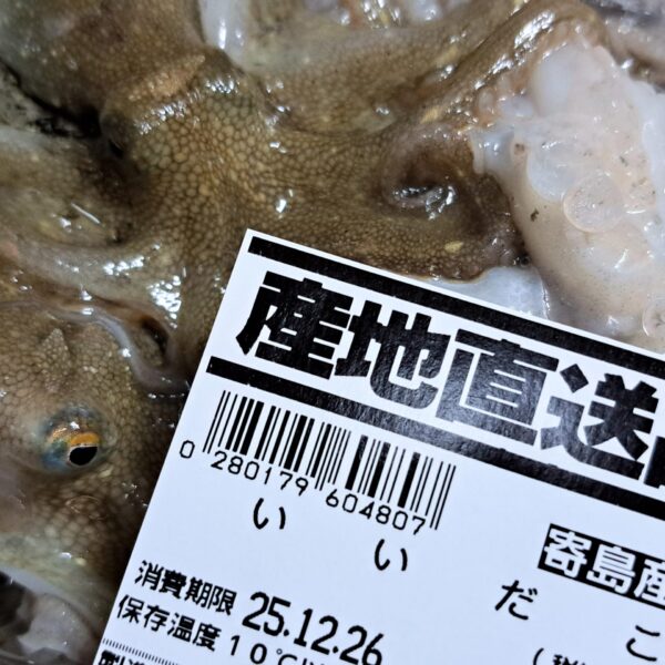 イイダコのカプレーゼ