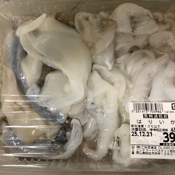 ハリイカのガーリックバター醤油炒め