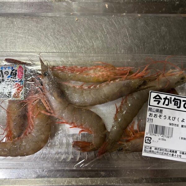 おおぞうえびのスパイスカレー