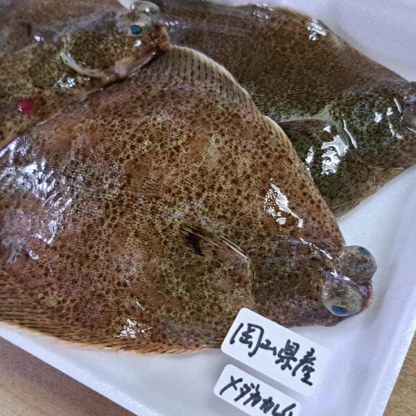 メダカカレイの煮付け