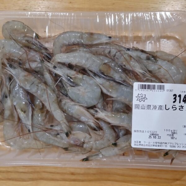 しらさえびの酒蒸し