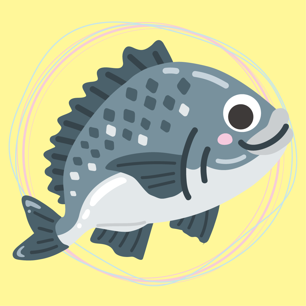 おかやま旬の魚投稿キャンペーン